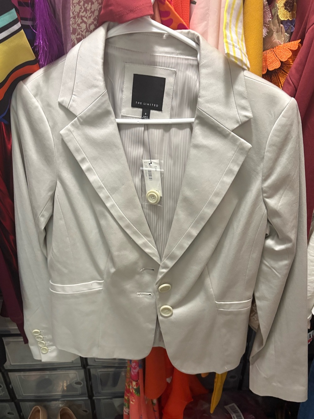The Limited Beige Women's Two-Button Tailored Blazer